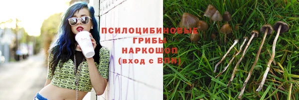 трава Абаза