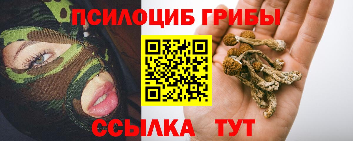 Красноперекопск  Галлюциногенные грибы Psilocybine cubensis  Вход с VPN 